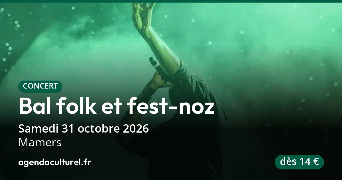 Bal folk et fest-noz à Mamers, Festival Coup d'Parquet