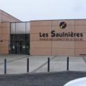 Les saulnieres