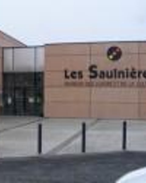 Les saulnieres