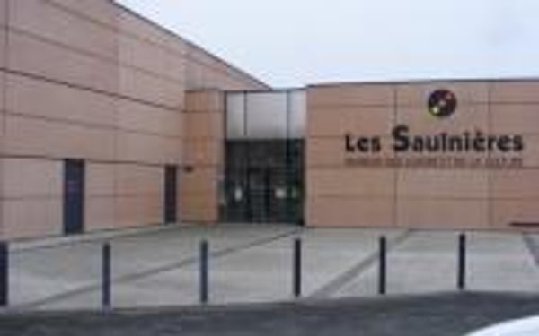 Les saulnieres