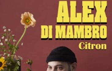 Alex Di Mambro, Citron