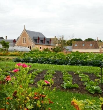 Visite libre du Jardin Potager