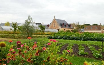 Visite libre du Jardin Potager