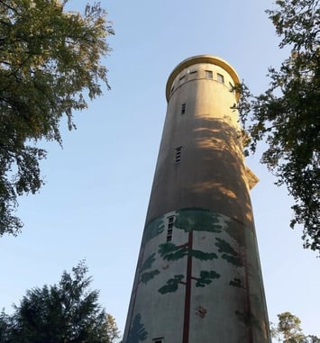 Visite libre du belvédère de Perseigne