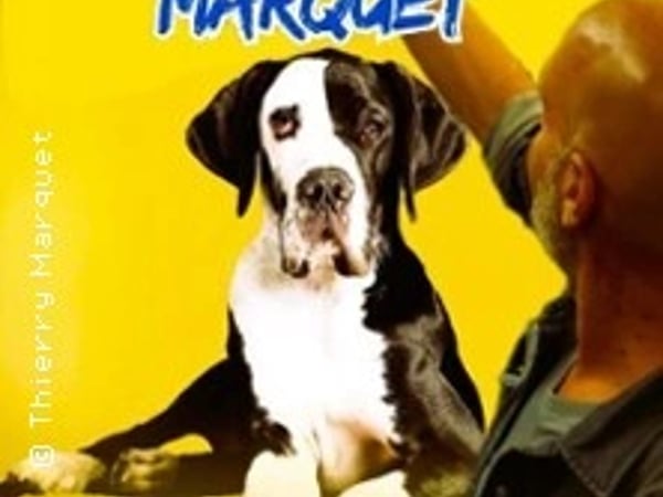 Thierry Marquet, Foutage de gueule ?