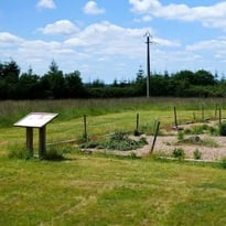 Site archéologique de la Motte