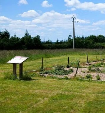 Site archéologique de la Motte