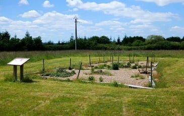 Site archéologique de la Motte