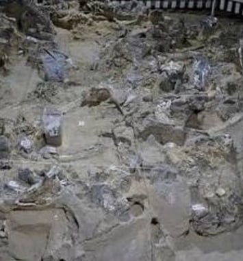 Comment protéger le patrimoine archéologique en zone de guerre ? Exemple de l'Ukraine.