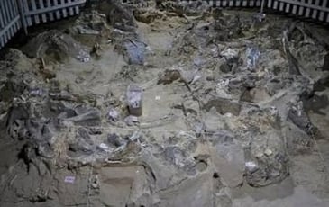 Comment protéger le patrimoine archéologique en zone de guerre ? Exemple de l'Ukraine.
