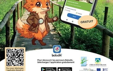 Jeu de piste Baludik : Le secret des Arbres à Teloché
