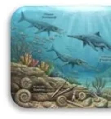 Fantastiques fossiles