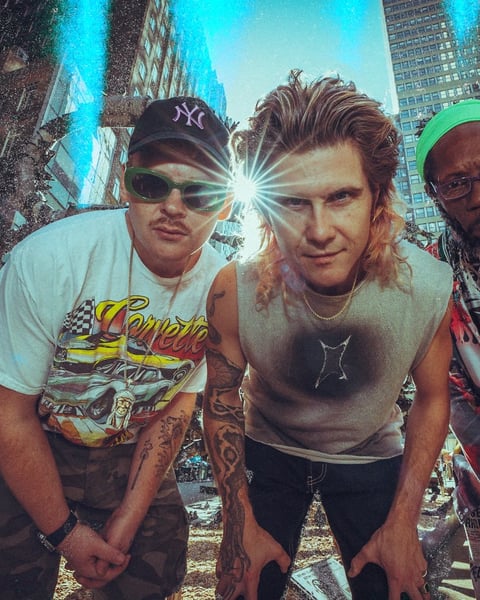 Too Many Zooz