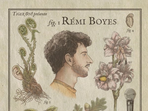 Rémi Boyes dans Bombus Terrestris V2